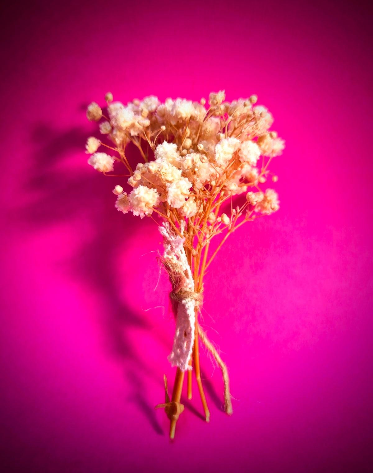 Trockenblumen Ministrauß natur aus Schleierkraut mit Juteband